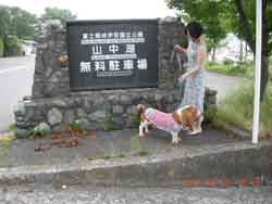 oZbgnEh摜